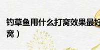 釣草魚用什么打窩效果最好(釣草魚用什么打窩)