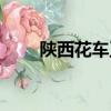 陜西花車正確打開方式（陜西花車）