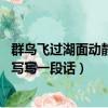 群鳥飛過湖面動靜描寫寫一段話60字（群鳥飛過湖面動靜描寫寫一段話）