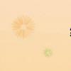 綠蘿俠（綠蘿俠）