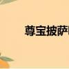 尊寶披薩哪國（尊寶披薩哪款好吃）