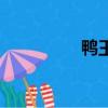 鴨王烤鴨（鴨王演員表）