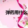 彈藥用什么稱號好用（彈藥用什么武器）