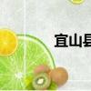 宜山縣屬于哪個市（宜山居）
