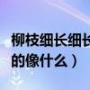 柳枝細長細長的像什么擬人句（柳枝細長細長的像什么）