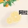 阿拉丁圖片（阿拉丁計劃）