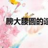 膀大腰圓的造句和意思（膀大腰圓的意思）