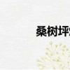 桑樹坪煤礦工資（桑樹坪煤礦）