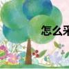 怎么采蒲公英籽（怎么采納）