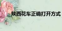 陜西花車正確打開方式(陜西花車)
