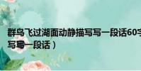 群鳥飛過湖面動靜描寫寫一段話60字(群鳥飛過湖面動靜描寫寫一段話)