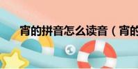 宵的拼音怎么讀音(宵的拼音和組詞)