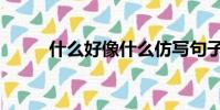 什么好像什么仿寫句子(什么好)