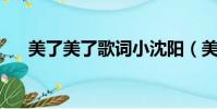 美了美了歌詞小沈陽(美了美了 歌詞)