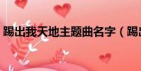 踢出我天地主題曲名字(踢出我天地主題曲)