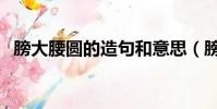 膀大腰圓的造句和意思(膀大腰圓的意思)