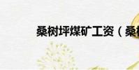 桑樹坪煤礦工資(桑樹坪煤礦)