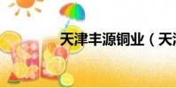 天津豐源銅業(天津豐源)