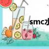 smc水箱哪家好（smc水箱）