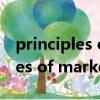 principles of marketing17.pdf（principles of marketing）