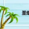 圣組詞有哪些（圣組詞）