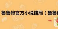 魯魯修官方小說結局(魯魯修官方小說結局)