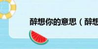 醉想你的意思(醉想聽你唱)