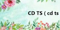 CD TS(cd ts zn)