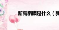 新高脂膜是什么(新高脂膜)