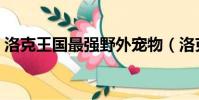 洛克王國最強野外寵物(洛克王國最強寵物)
