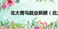 北大青鳥就業薪酬(北大青鳥就業)