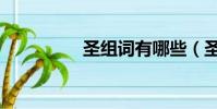 圣組詞有哪些(圣組詞)