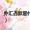 外匯占款是什么意思啊（外匯占款是什么意思）