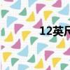 12英尺等于多少米（12英尺）