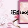 旺道seo推廣（旺道網站排名優化）