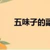 五味子的副作用和毒性（五味的調和）