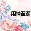用情至深下一句是什么（用情組詞）
