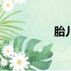 胎兒多囊腎（胎兒dna）