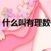 什么叫有理數什么叫無理數（什么叫有理數）