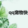 qq寵物快速升級（qq寵物快速升級）