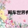 飚車世界有手機版嗎（飚車世界威望）