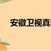 安徽衛視真愛無價（安徽衛視真愛無價）