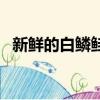 新鮮的白鱗鮭魚哪里多（新鮮的白鱗鮭魚）