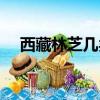 西藏林芝幾類地區（西藏林芝幾月最美）