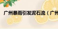 廣州暴雨引發泥石流(廣州暴雨引泥石流)