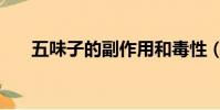 五味子的副作用和毒性(五味的調和)