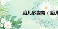 胎兒多囊腎(胎兒dna)