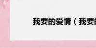 我要的愛情(我要的愛情)