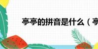 亭亭的拼音是什么(亭亭的拼音)