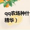 qq農場種什么經驗和價格最高（qq農場種子精華）